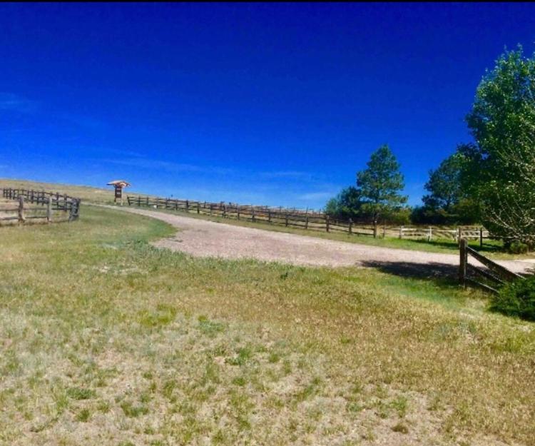 Sundance - Prairie Rose Cheyenne
